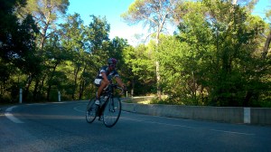 Marcel fährt durch die Provence