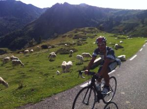 Erstmal die Wolle vom Leib nehmen! Marcel :)